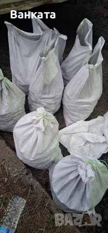 Бобовдолски и домбаски въглища, снимка 17 - Въглища - 53148241