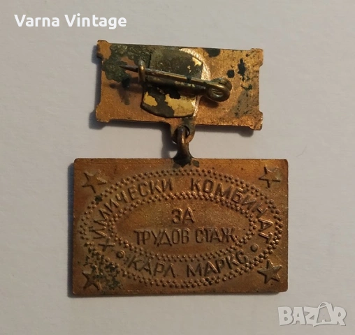 Значка ЗА ТРУОВ СТАД ХИМИЧЕСКИ КОМБИНАТ КАРЛ МАРКС. емайл. БНР., снимка 3 - Колекции - 53350000