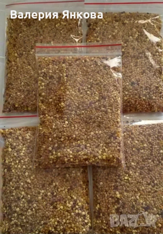 Пчелен мед - 100 % натурален реколта 2025г, снимка 4 - Пчелни продукти - 24128490