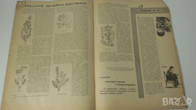 Списание Здраве - 1958-7, снимка 9 - Антикварни и старинни предмети - 51067862