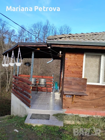 2 вили на 3 км от Трявна