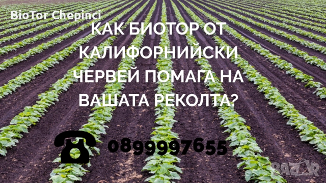 🌱 Как БиоТор от Калифорнийски Червей Помага на Вашата Реколта