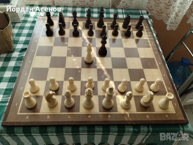 Шахматни фигури 