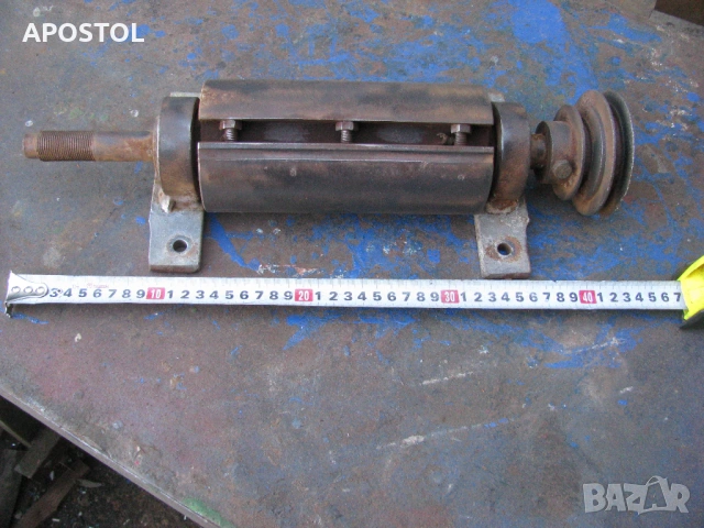 абрихт Глава