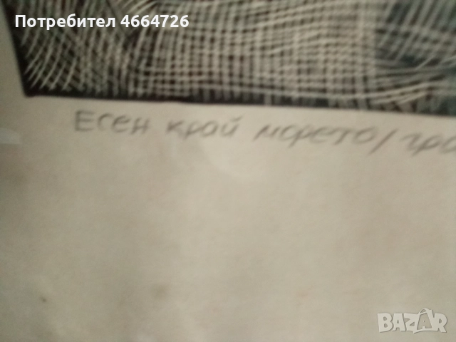 Картина Антика , снимка 4 - Картини - 52664068