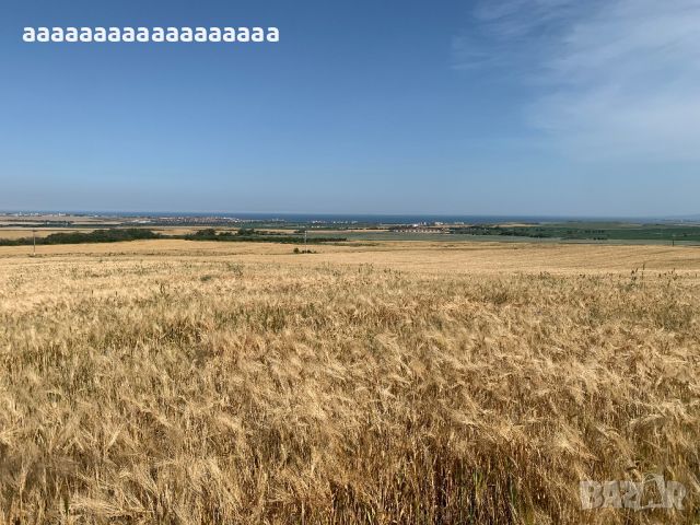 Продавам Панорамна земя до град Каблешково, снимка 10 - Земеделска земя - 44431160