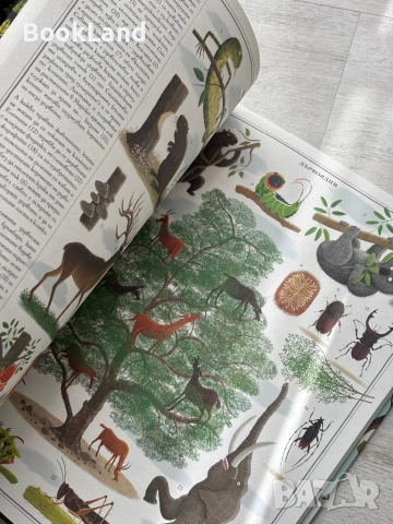 Дърветата| Пьотр Соха , снимка 17 - Детски книжки - 54179710