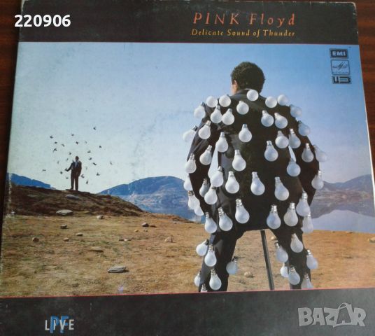 Плоча Pink Floyd "Delicate Sound Of Thunder" Мелодия, снимка 1 - Грамофонни плочи - 46152802