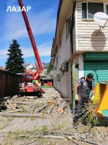 Дробила за клони под наем , снимка 3 - Градинска техника - 46005981