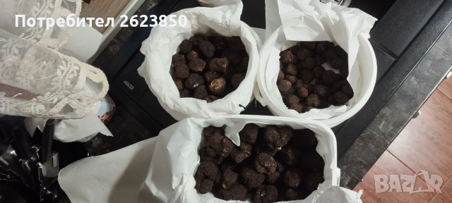 Черен Есенен Трюфел