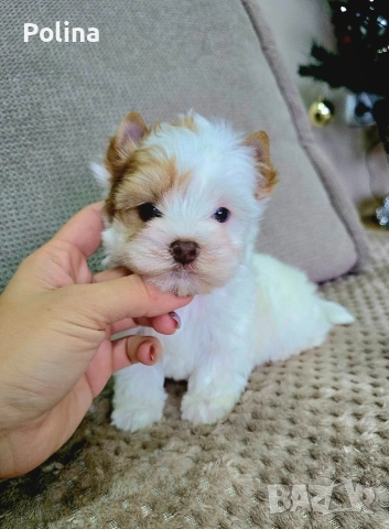 Уникално момче