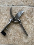 Лозарска ножица голяма, снимка 2