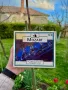 Комплекти CD дискове с класическа музика, снимка 3