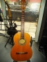 Ак.китара Suzuki/Japan, снимка 9