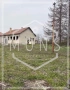 УПИ с жилищна сграда в с. Ястребино, област Търговище., снимка 3
