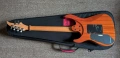 Caparison Dellinger - Natural Finish, made in Japan! ел.китара, снимка 12