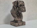 Boxer Dog Bust / Боксер куче Бюст, снимка 6