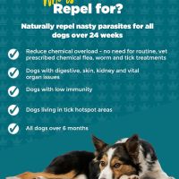 Добавка ProDog Repel Ефективен репелент срещу кърлежи, червеи и бълхи за кучета над 6 м - 60 порции , снимка 3 - За кучета - 45083441