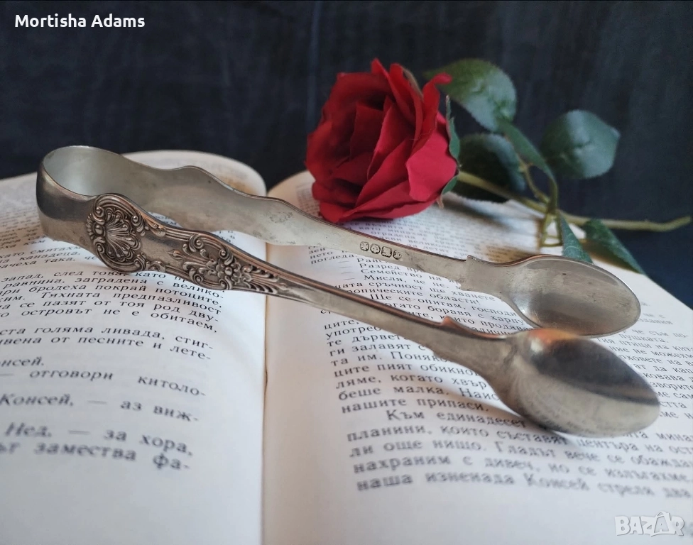 Щипка за лед, снимка 1