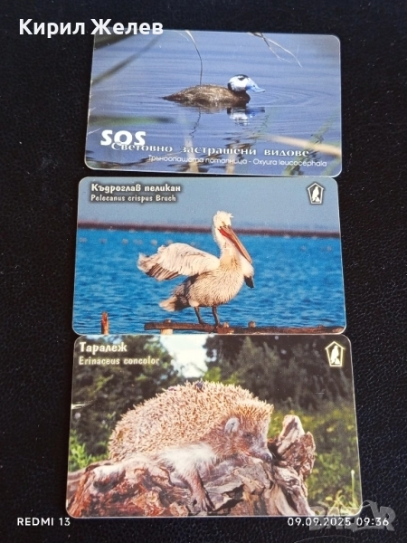Три фонокарти МОБИКА тема ЖИВОТНИ ТАРАЛЕЖ,КЪДРОГЛАВ ПЕЛИКАН 17067, снимка 1