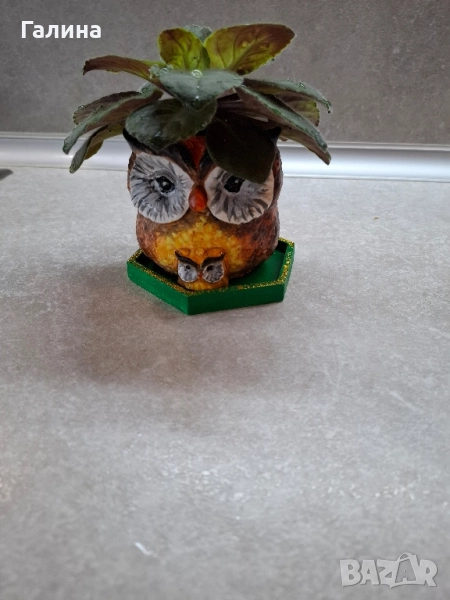 Декоративна саксийка с теменужка, снимка 1