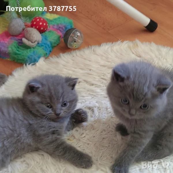 Продавам , снимка 1