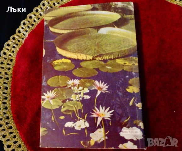 Занимателна ботаника,А.В.Цингер. , снимка 6 - Други - 53204134