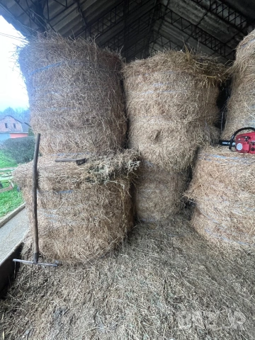 ролонни бали люцерна, снимка 4 - За селскостопански - 53300344