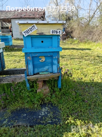 9 рамкови кошери, снимка 5 - Други - 54159745