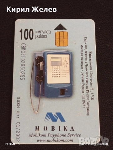 Три фонокарти тема ЖИВОТНИ ЧЕРЕН ЛЕШОЯД,КАФЯВА МЕЧКА за КОЛЕКЦИЯ 12011, снимка 2 - Колекции - 51634380