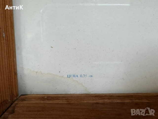 Голям Портрет на Тодор Живков, снимка 6 - Антикварни и старинни предмети - 51776881