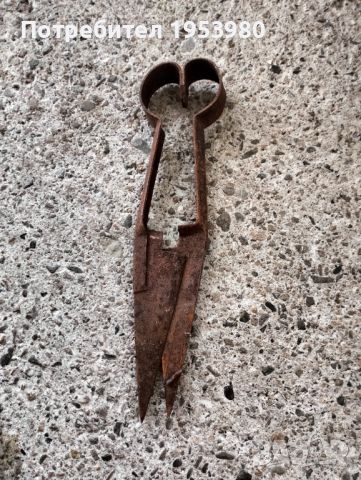 Ножица за стригане на овце, снимка 2 - Антикварни и старинни предмети - 46112527