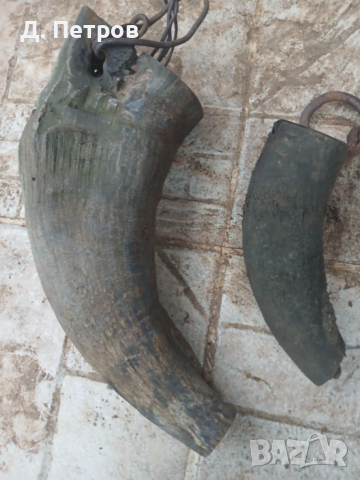 Рог от бивол катраница, снимка 2 - Антикварни и старинни предмети - 50087498