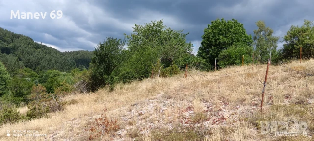 Продавам парцел в Родопите  с.Габрица.🌲, снимка 6 - Парцели - 50738610