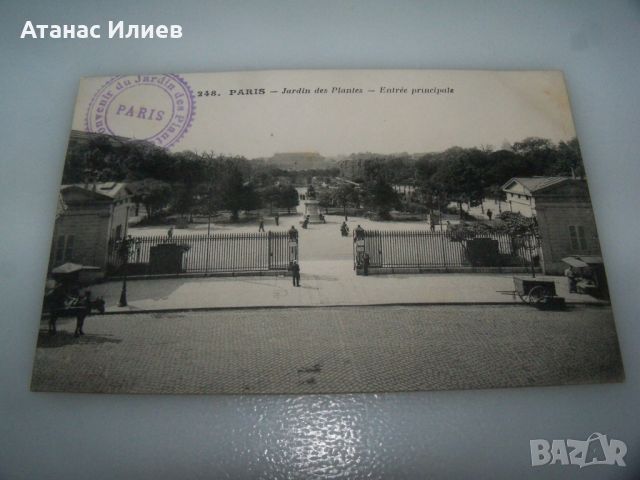 Стара пощенска картичка изглед от Париж, 1910г. Jardin des Plantes., снимка 3 - Филателия - 46618582