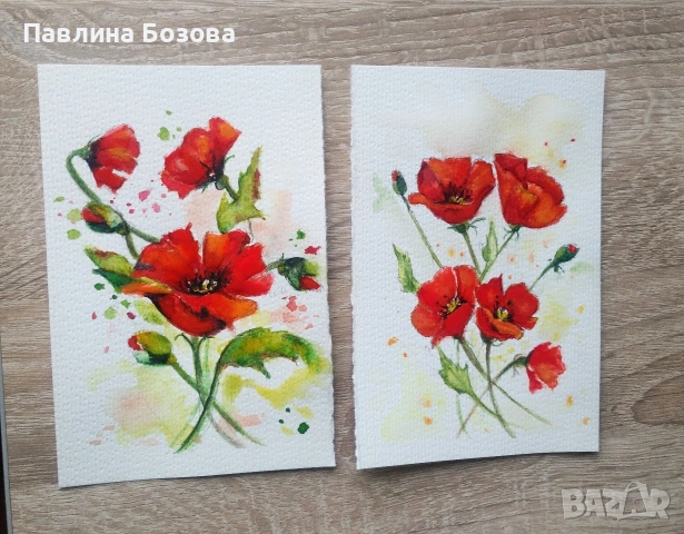 Макове картини  Акварели 