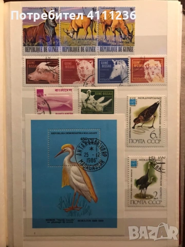 Класьор с марки предимно Фауна , снимка 6 - Филателия - 53513901