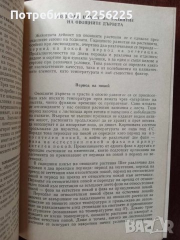 Справочник по овощарство, снимка 5 - Специализирана литература - 50611382