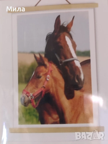 Диамантени гоблени 40*60, снимка 2 - Гоблени - 53572577