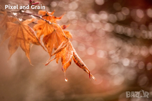 Nikon AF-S 55-200mm f/4-5.6G ED VR обектив Никон, снимка 7 - Обективи и филтри - 53671254