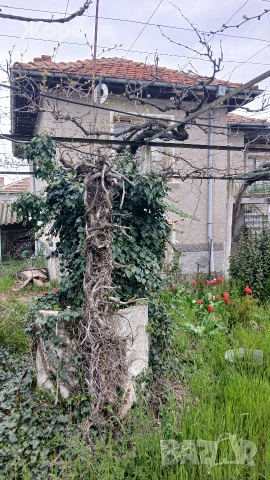 Къща със двор близо до Пловдив , снимка 2 - Къщи - 54232770