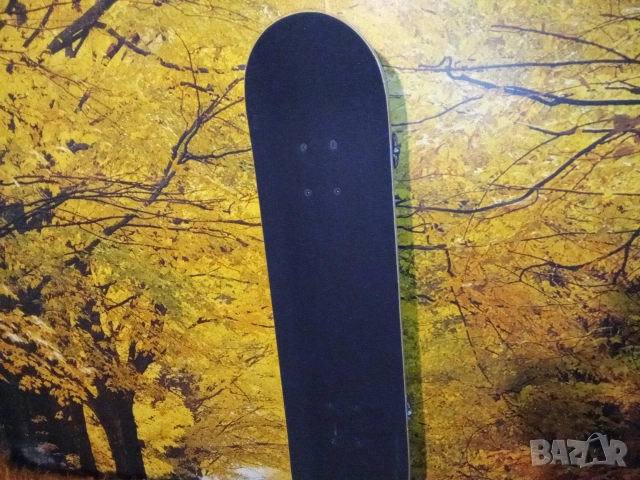 Професионален скейтборд по поръчка и части за скейт Spitfire Formula Four Bones Reds Element T-Tool , снимка 2 - Скейтборд, ховърборд, уейвборд - 53701737