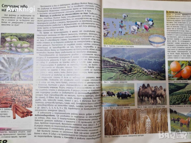 Учебник по география и икономика + атлас за 7. клас - разбираемо съдържание, снимка 2 - Учебници, учебни тетрадки - 54154083