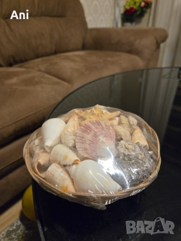 Плетен панер с различни рапани и миди, снимка 2 - Други - 51487735