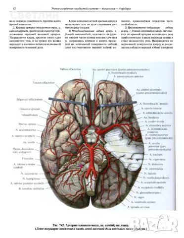 Продавам Руски атласи по медицина., снимка 11 - Електронни книги - 48460842