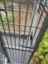 Голяма Клетка кафез за папагали или други животни, снимка 6