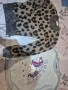 лотове за момиче 116-122 размер , снимка 8