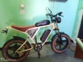електрически велосипед 750W, снимка 2