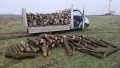 Доставка на дърва за огрев коректност в кубиците!!!, снимка 3