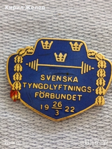 Рядка значка с емайл на ШВЕДСКАТА АСОЦИАЦИЯ по ВДИГАНЕ НА ТЕЖЕСТИ 29392, снимка 1